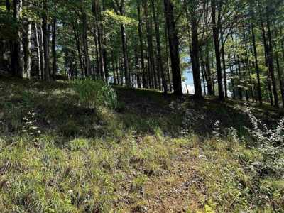 Residential Land For Sale in Buckhannon, West Virginia