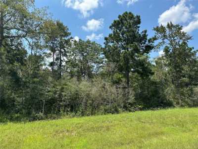 Residential Land For Sale in New Waverly, Texas