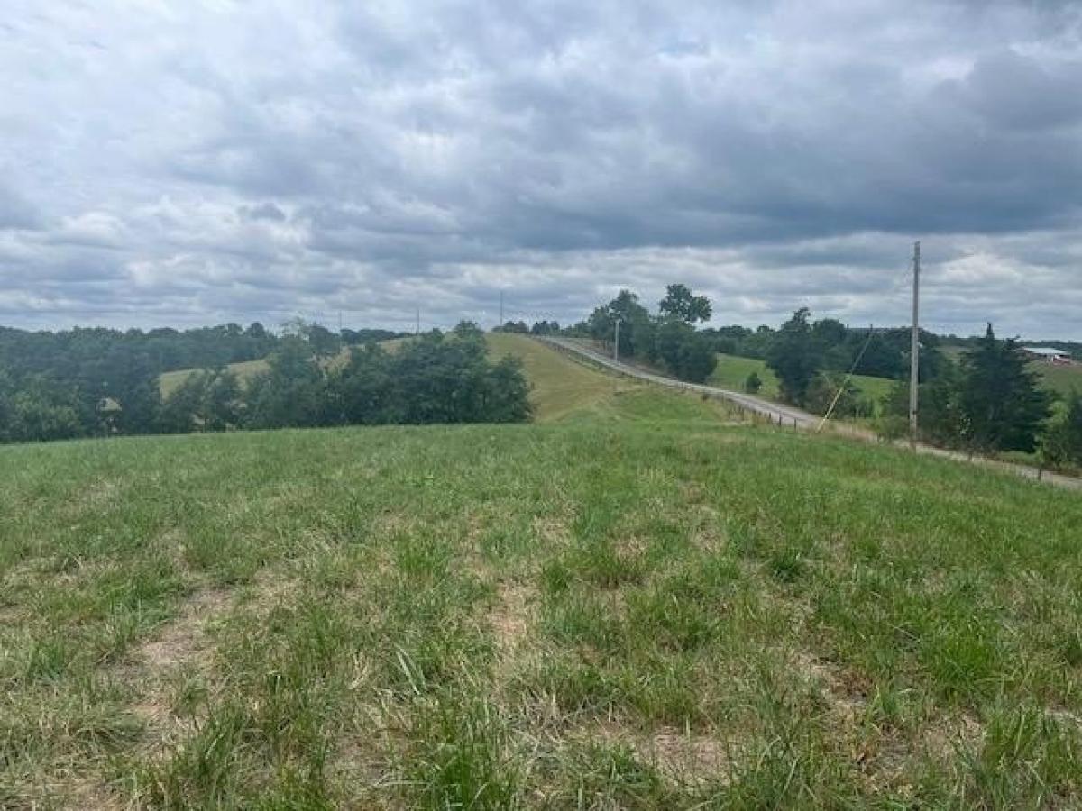 Picture of Residential Land For Sale in Cynthiana, Kentucky, United States