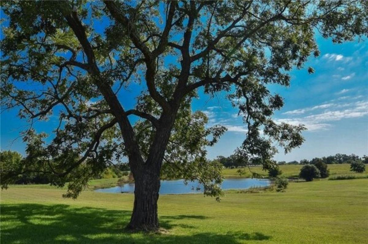 Picture of Residential Land For Sale in Sulphur Springs, Texas, United States