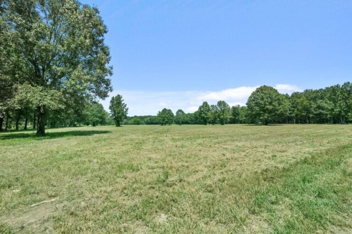 Picture of Residential Land For Sale in Ward, Arkansas, United States