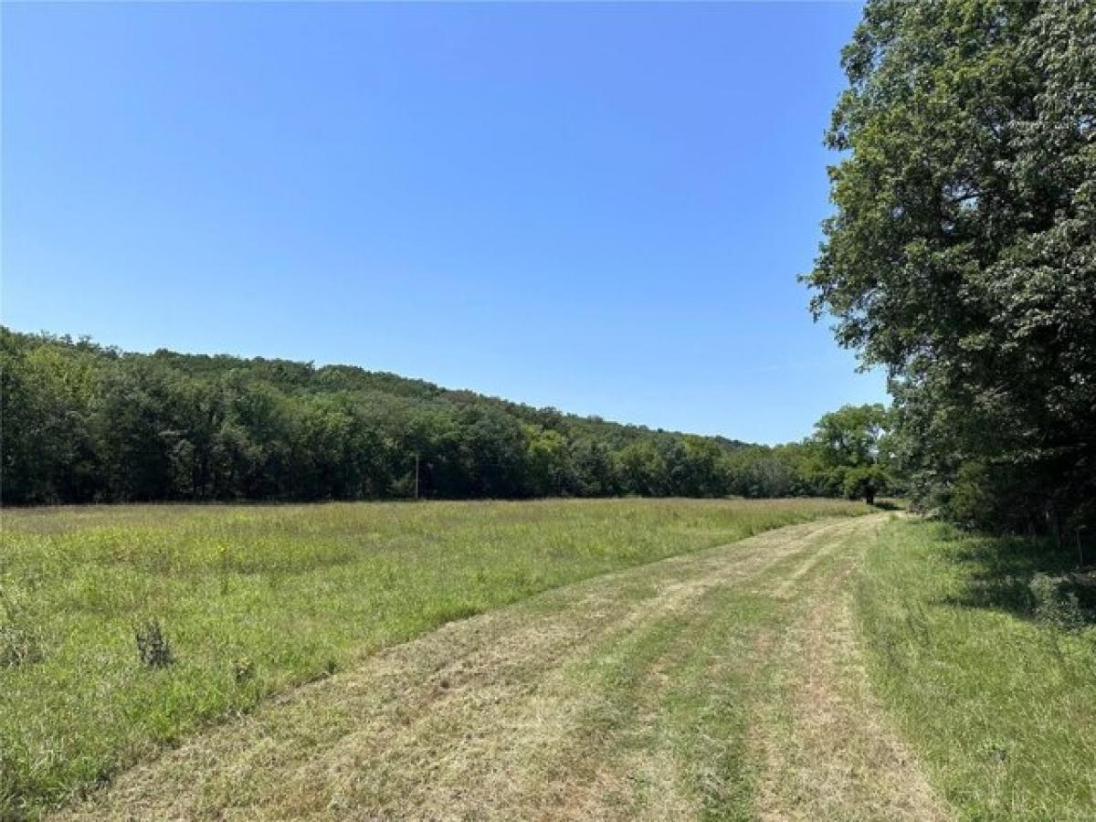 Picture of Residential Land For Sale in Festus, Missouri, United States