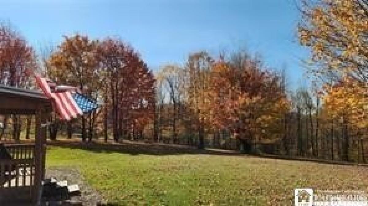 Picture of Residential Land For Sale in East Otto, New York, United States