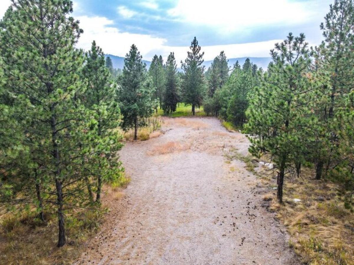 Picture of Residential Land For Sale in Big Arm, Montana, United States