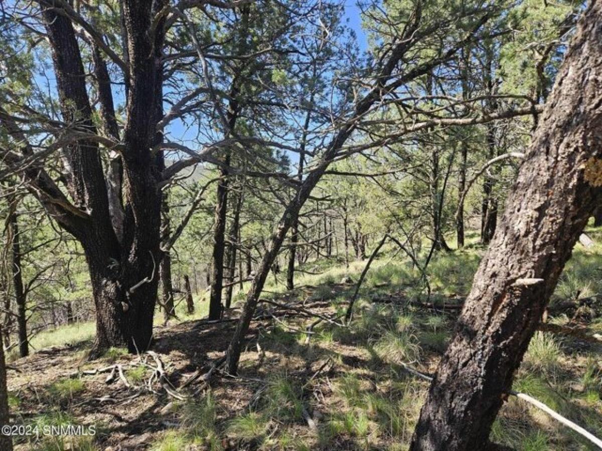 Picture of Residential Land For Sale in Ruidoso, New Mexico, United States