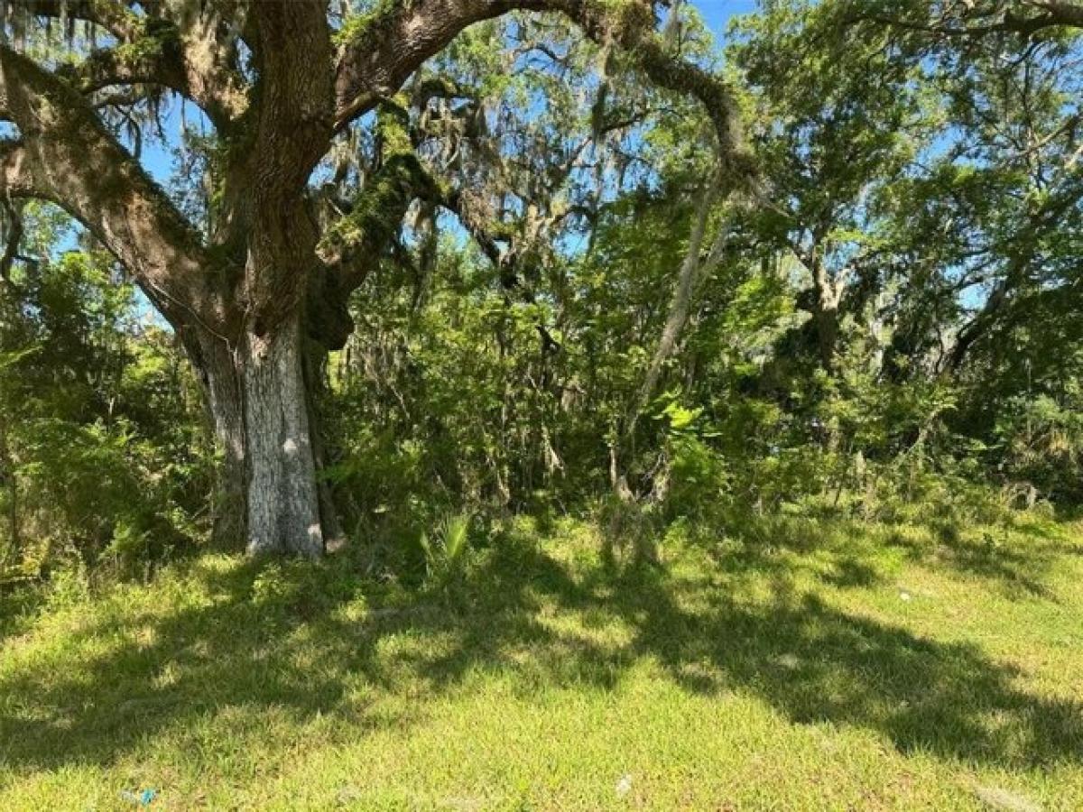 Picture of Residential Land For Sale in Plant City, Florida, United States