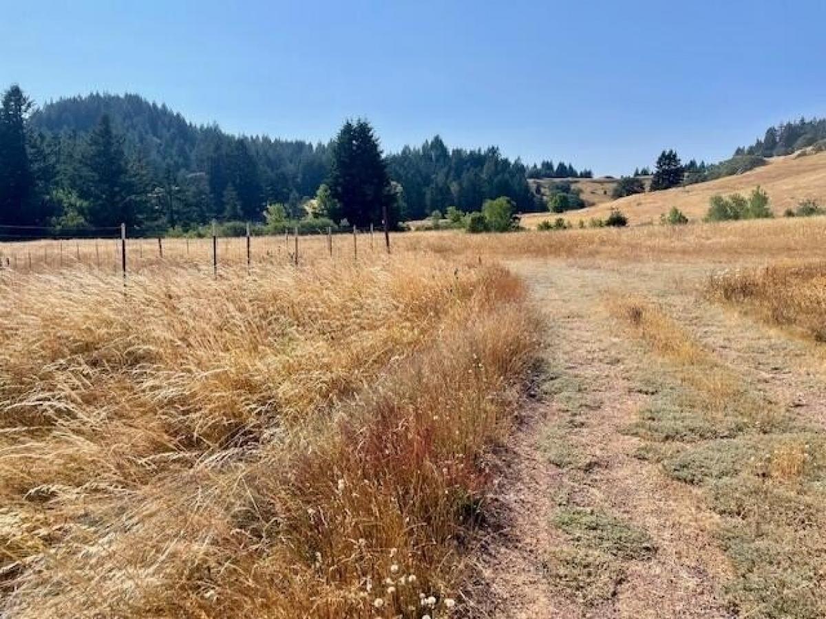 Picture of Residential Land For Sale in Bridgeville, California, United States