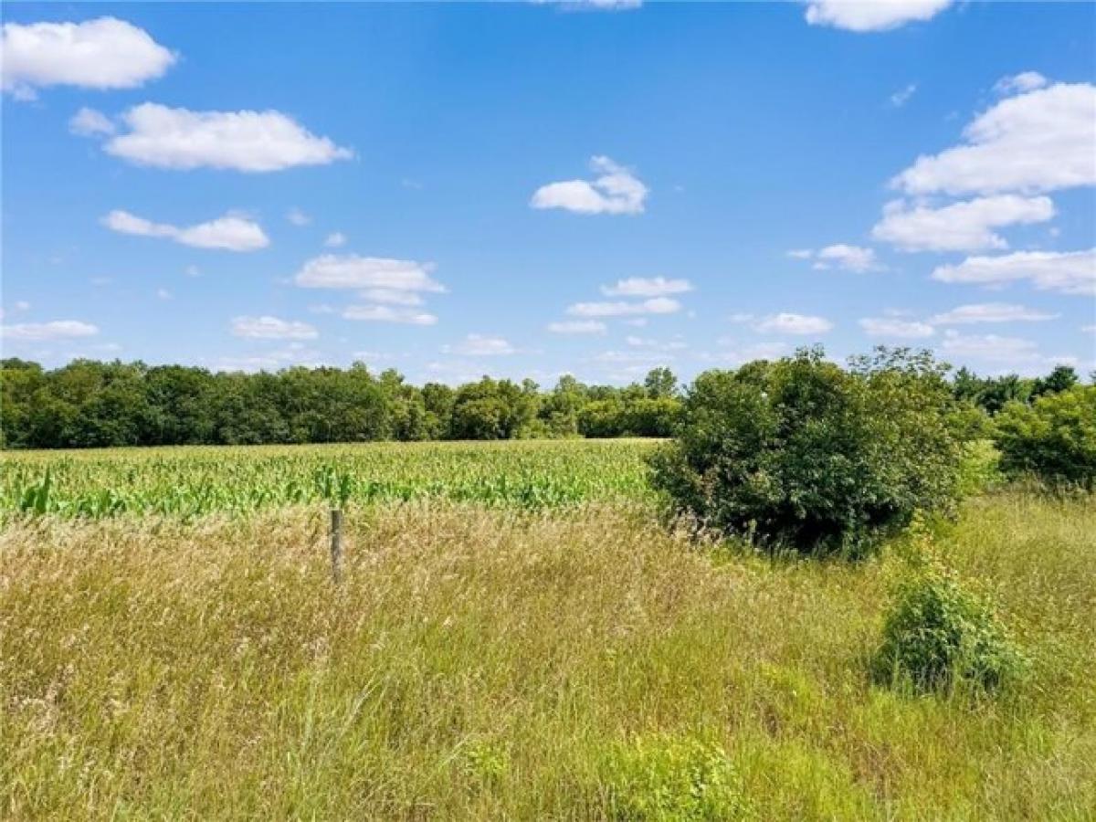 Picture of Residential Land For Sale in North Branch, Minnesota, United States