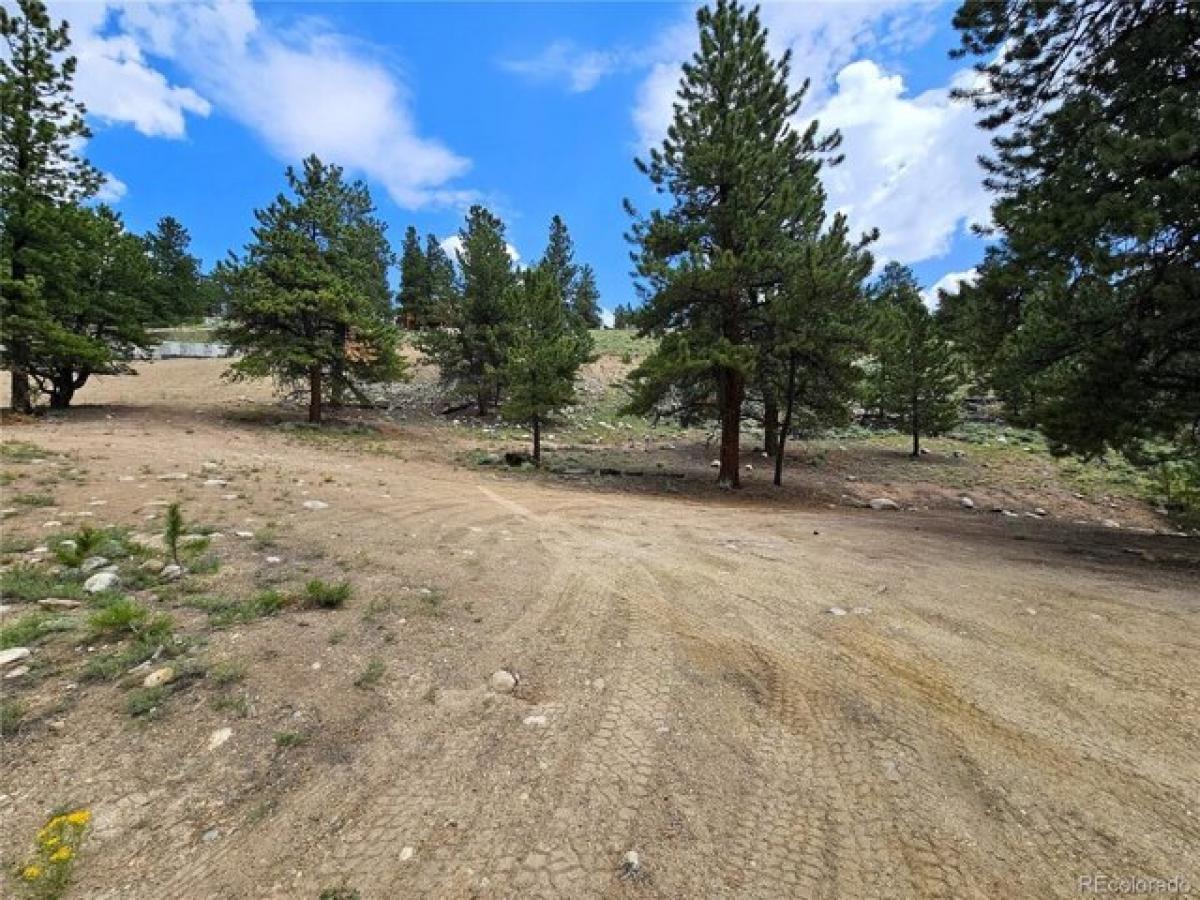 Picture of Residential Land For Sale in Twin Lakes, Colorado, United States