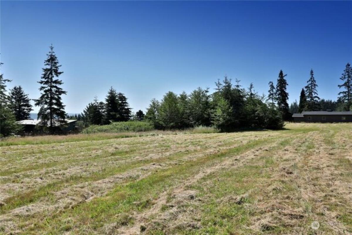 Picture of Residential Land For Sale in Freeland, Washington, United States