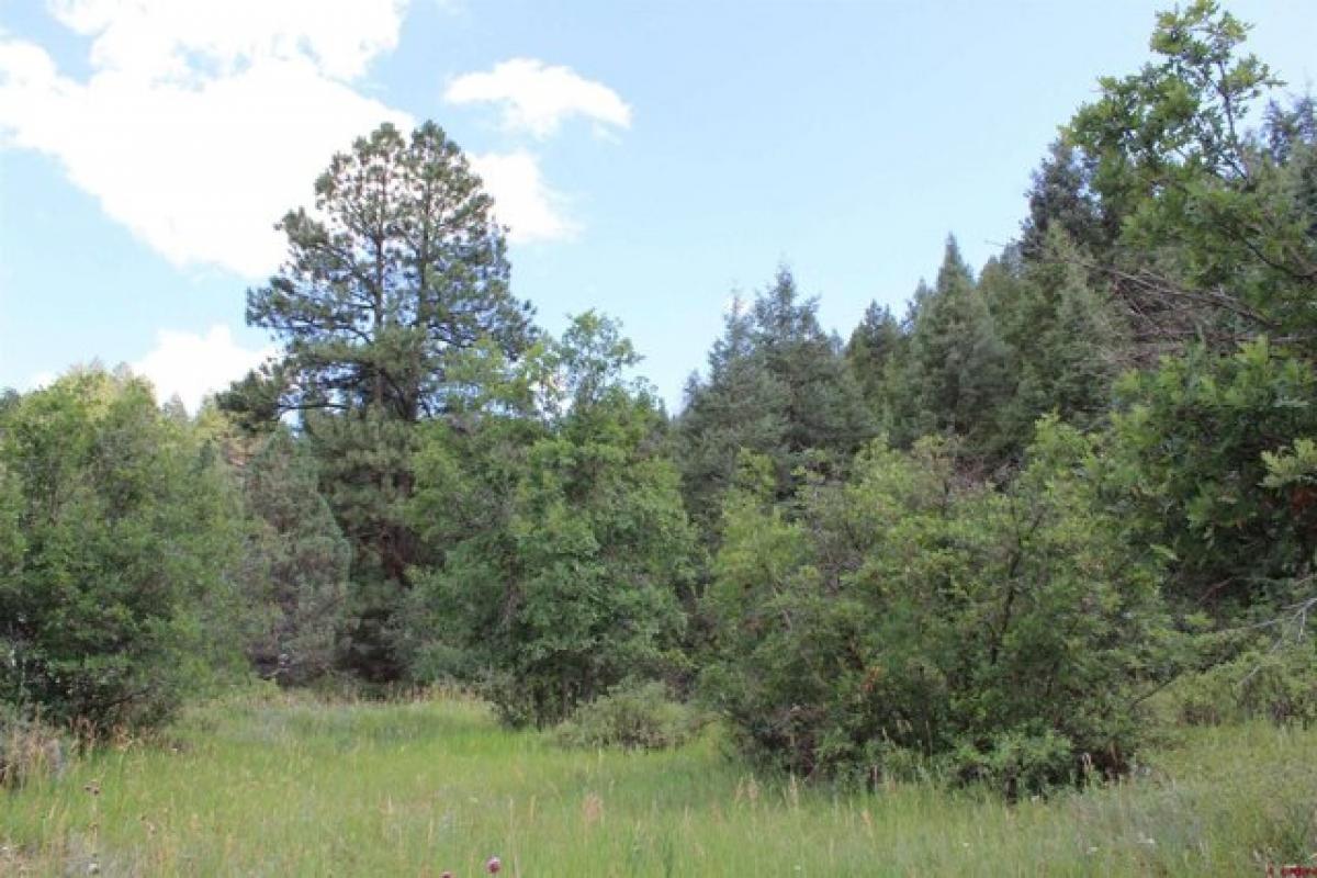 Picture of Residential Land For Sale in Durango, Colorado, United States