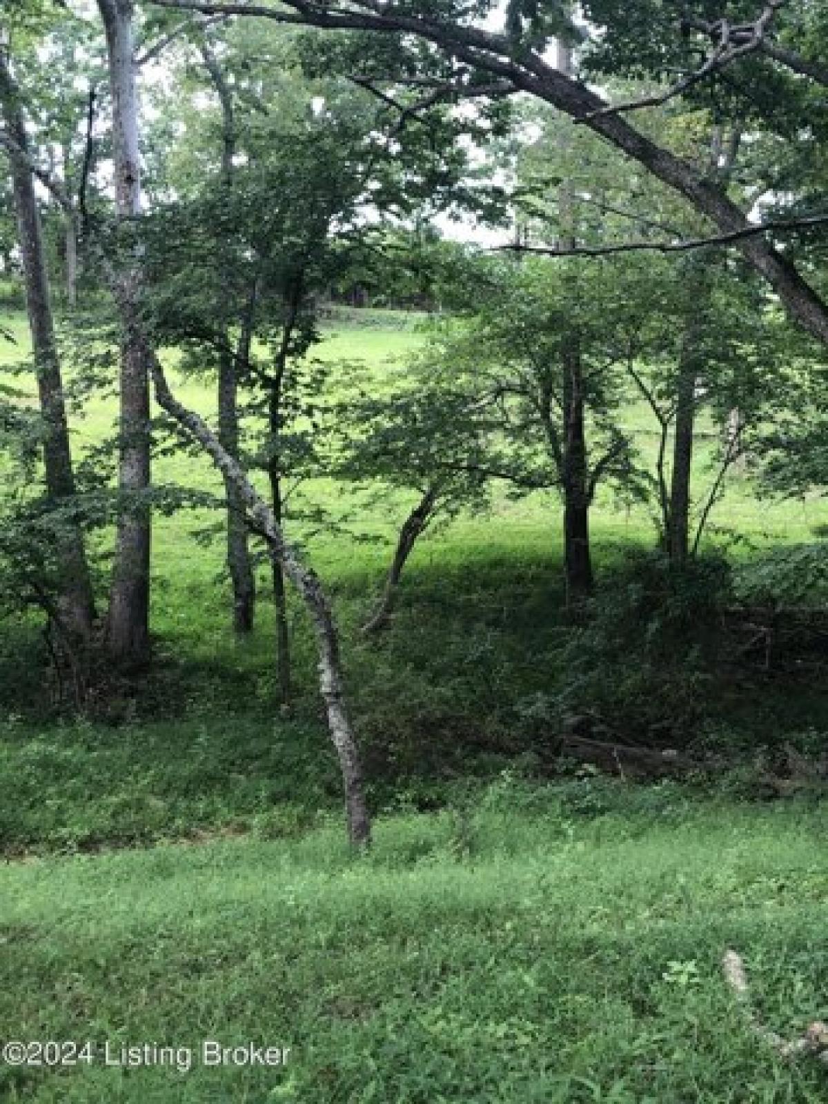 Picture of Residential Land For Sale in Pendleton, Kentucky, United States