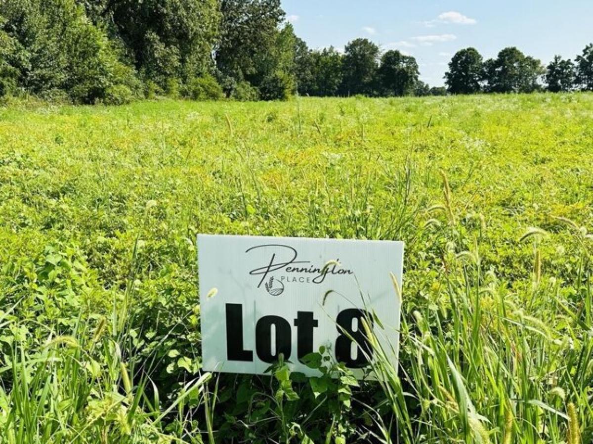 Picture of Residential Land For Sale in Summertown, Tennessee, United States