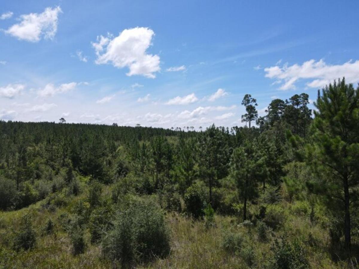 Picture of Residential Land For Sale in Milton, Florida, United States