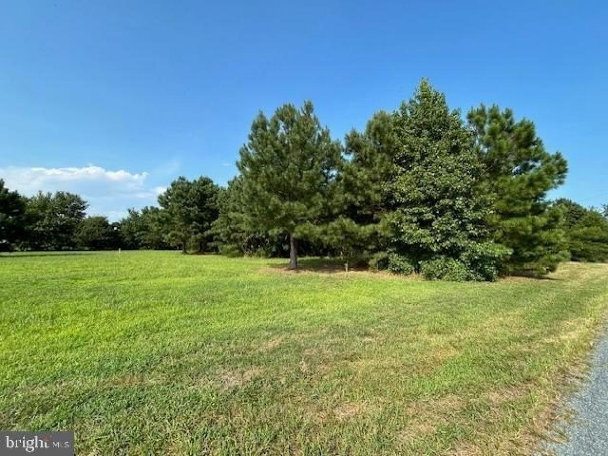 Picture of Residential Land For Sale in Pittsville, Maryland, United States