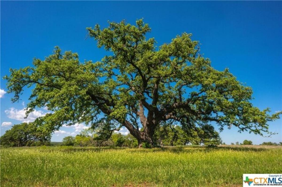 Picture of Residential Land For Sale in San Marcos, Texas, United States