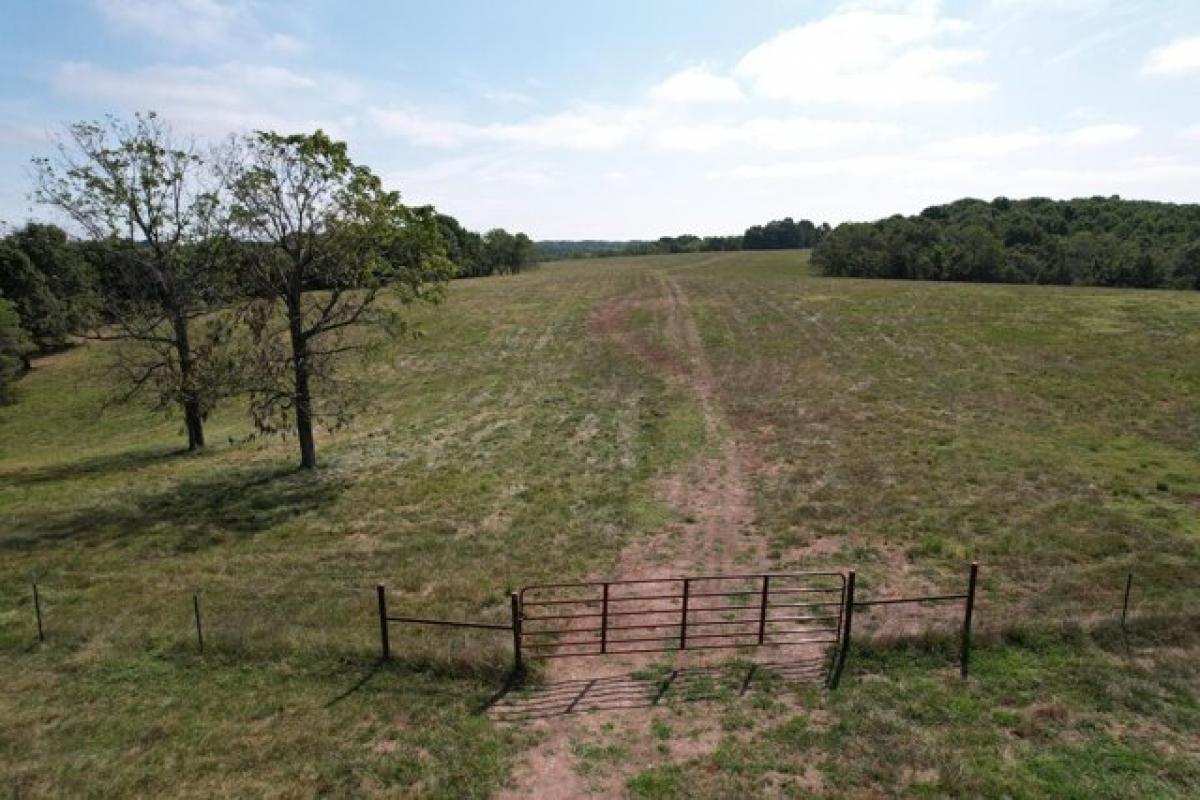 Picture of Residential Land For Sale in Cassville, Missouri, United States