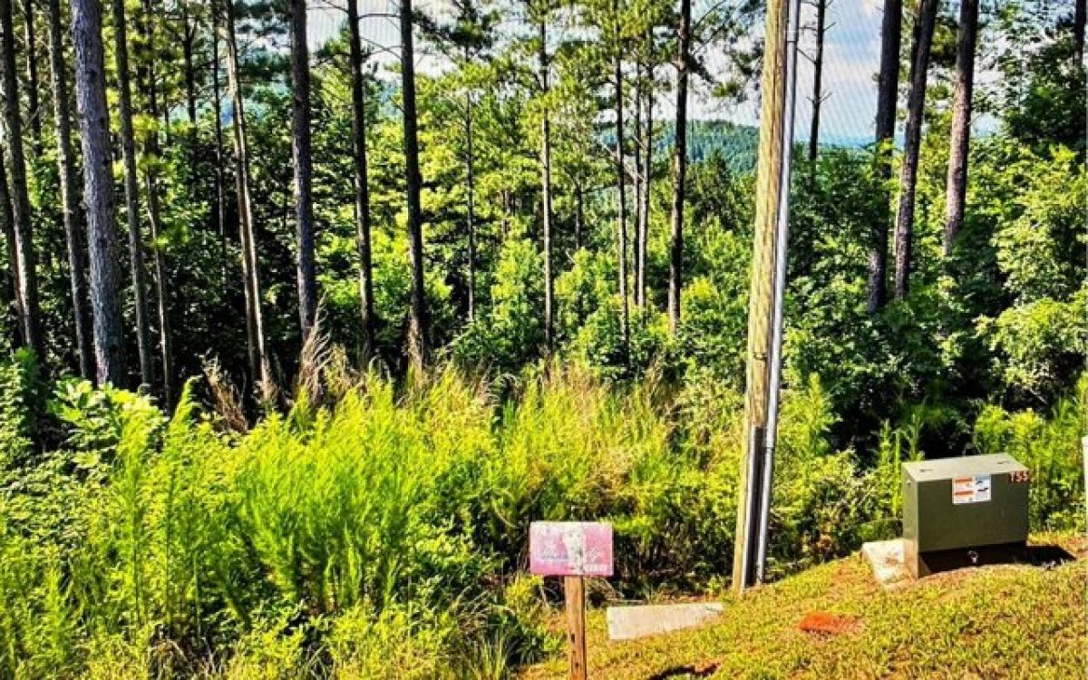 Picture of Residential Land For Sale in Blairsville, Georgia, United States