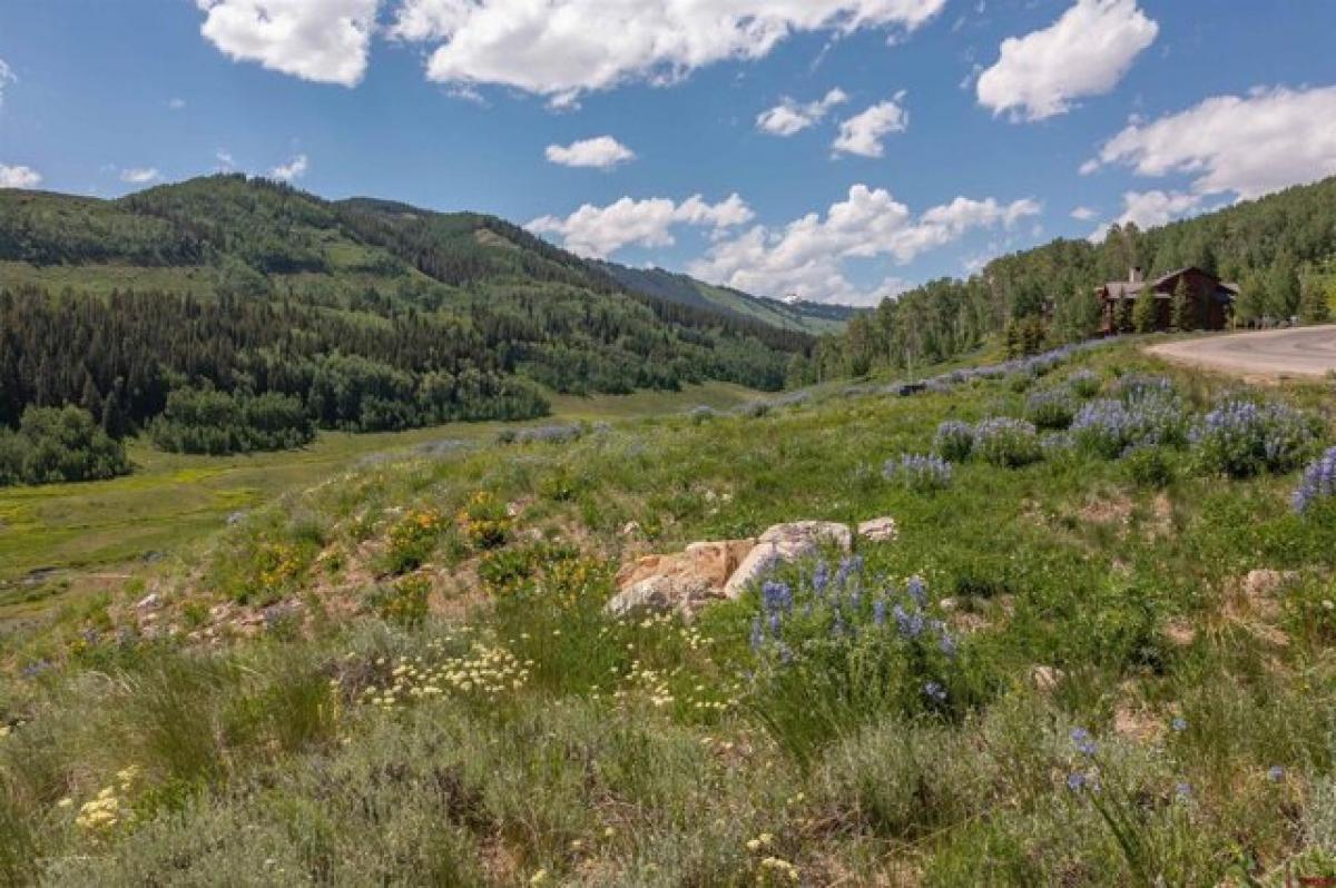 Picture of Residential Land For Sale in Crested Butte, Colorado, United States