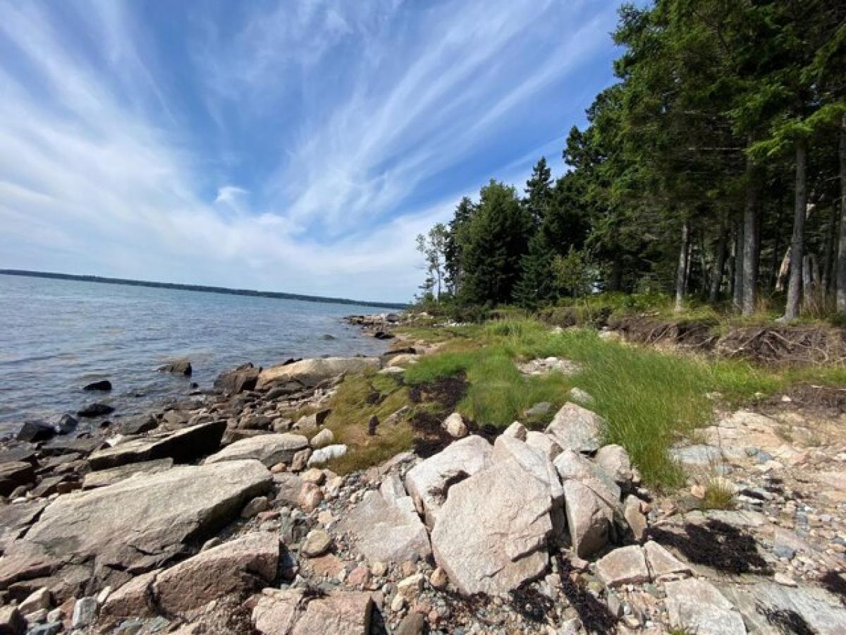 Picture of Residential Land For Sale in Steuben, Maine, United States