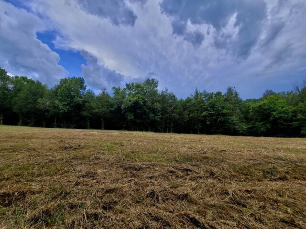 Picture of Residential Land For Sale in Silver Point, Tennessee, United States