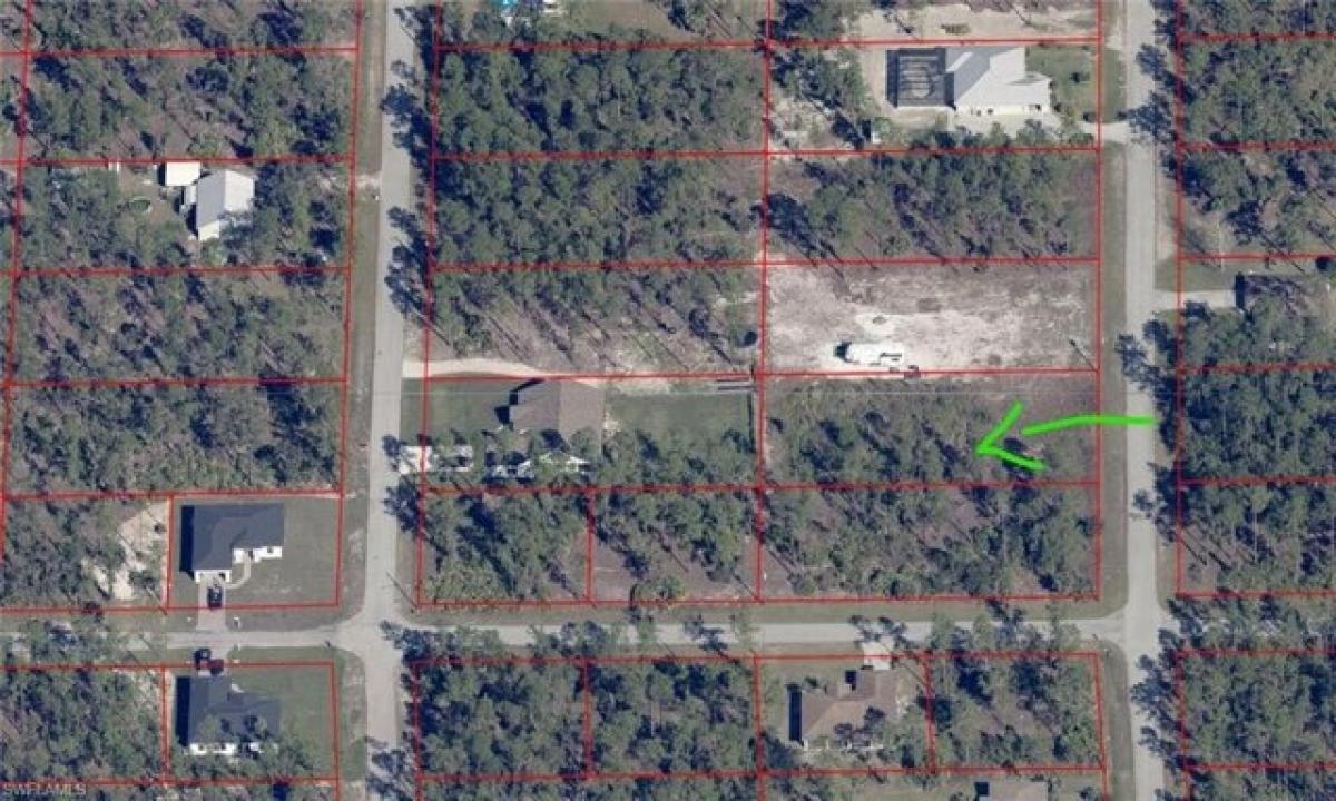 Picture of Residential Land For Sale in Alva, Florida, United States