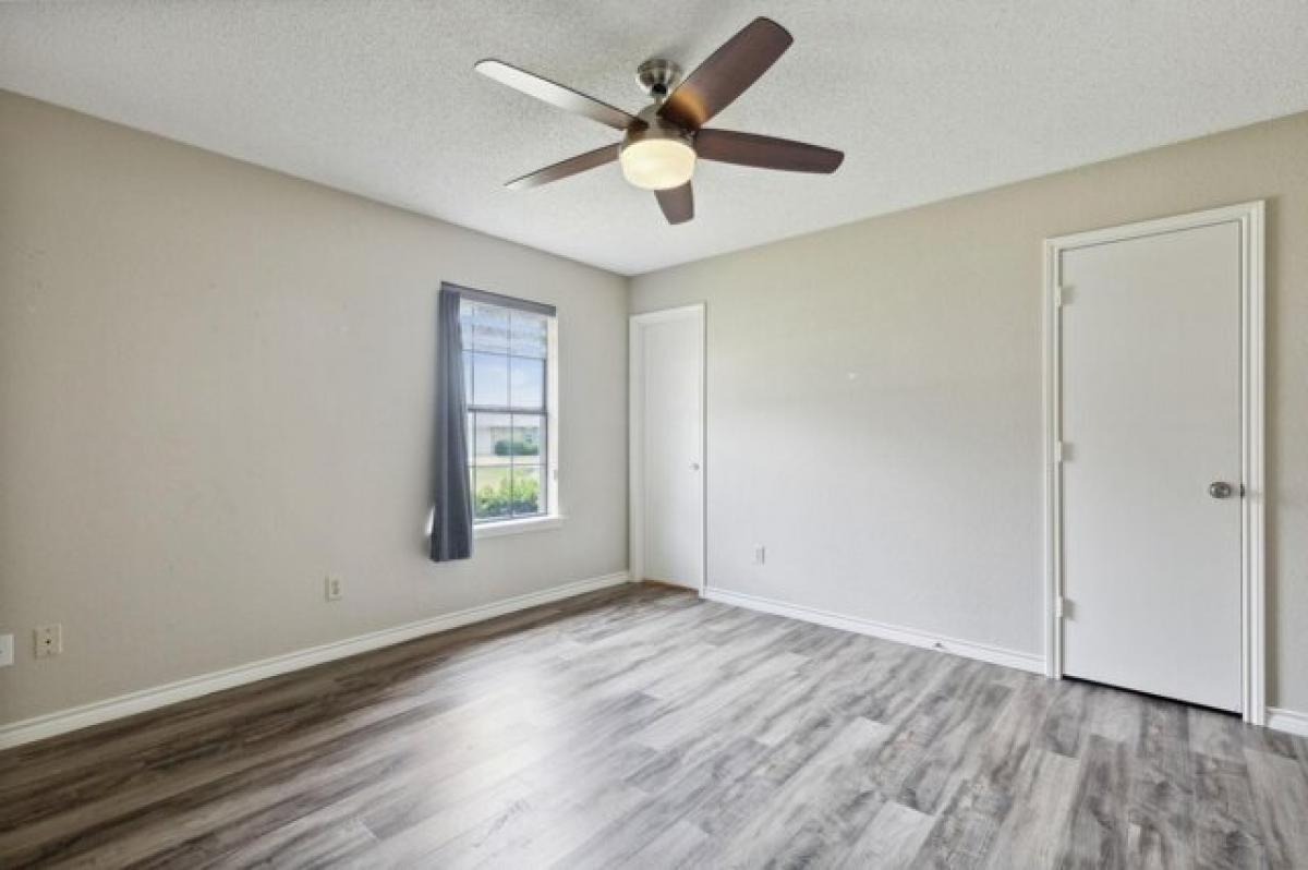 Picture of Home For Rent in Prosper, Texas, United States