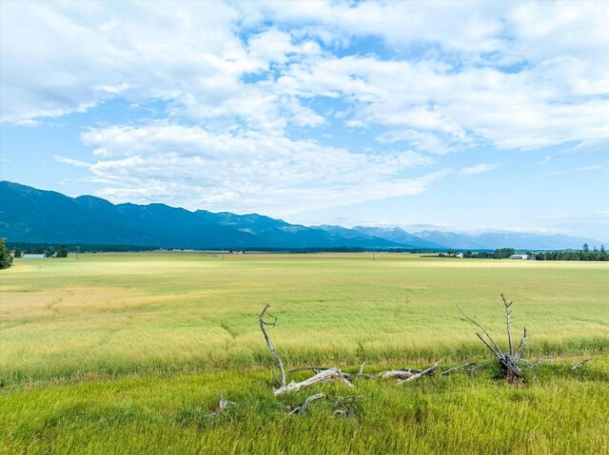 Picture of Residential Land For Sale in Kalispell, Montana, United States