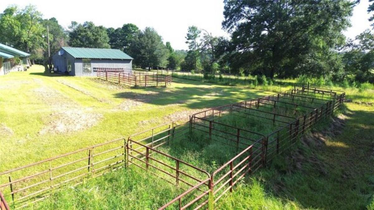 Picture of Residential Land For Sale in Kennard, Texas, United States