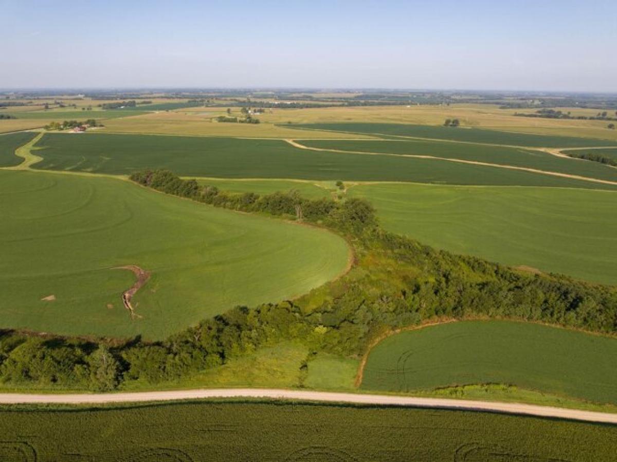 Picture of Residential Land For Sale in Slater, Missouri, United States