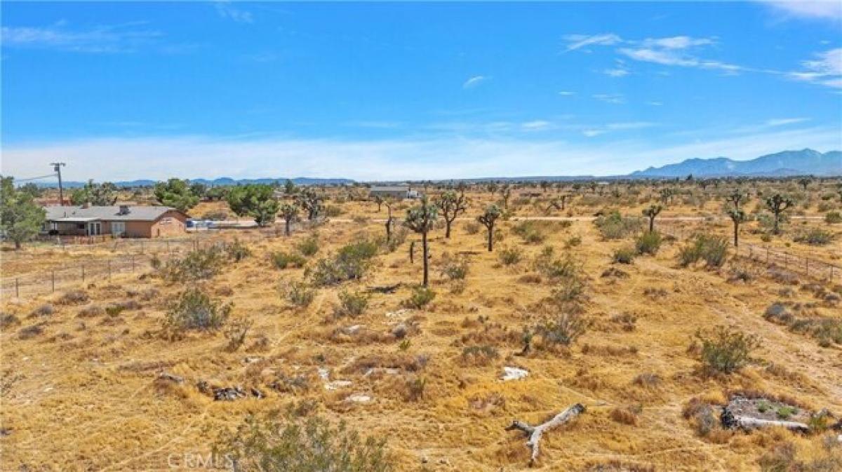 Picture of Residential Land For Sale in Phelan, California, United States