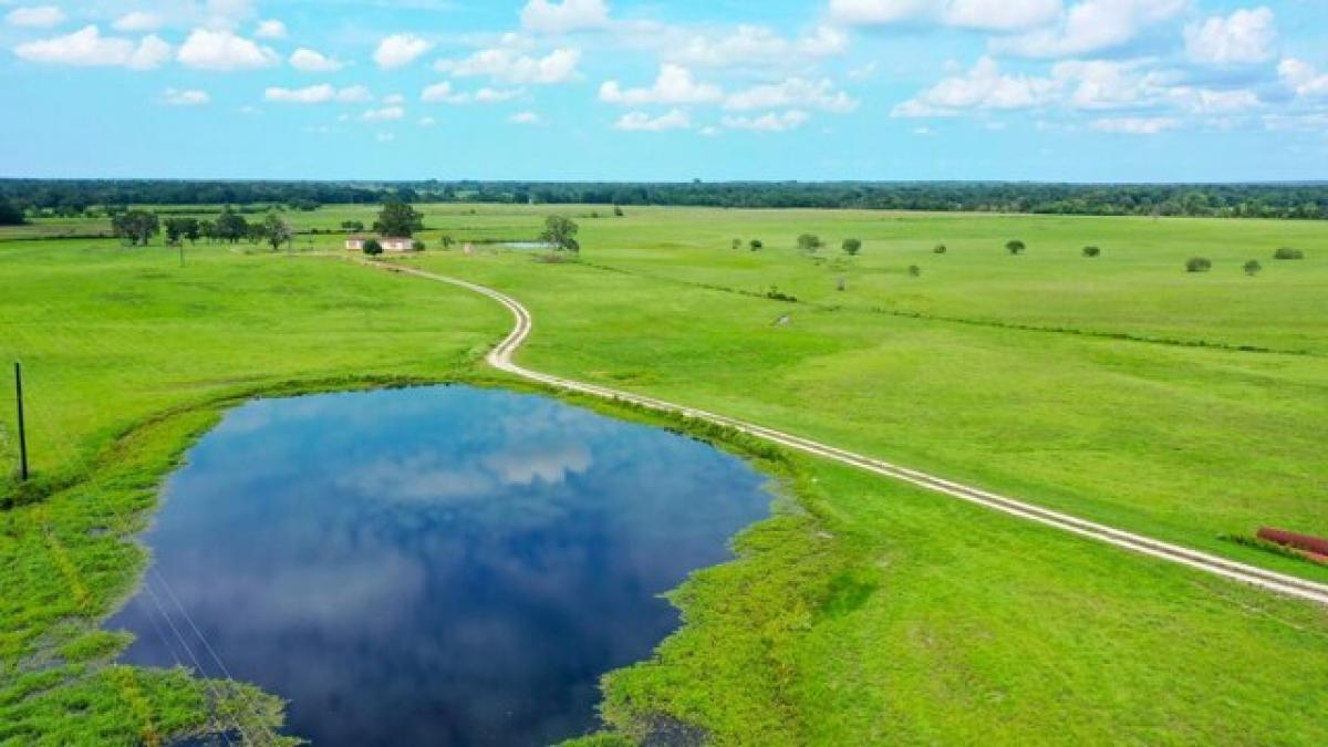 Picture of Residential Land For Sale in Bedias, Texas, United States