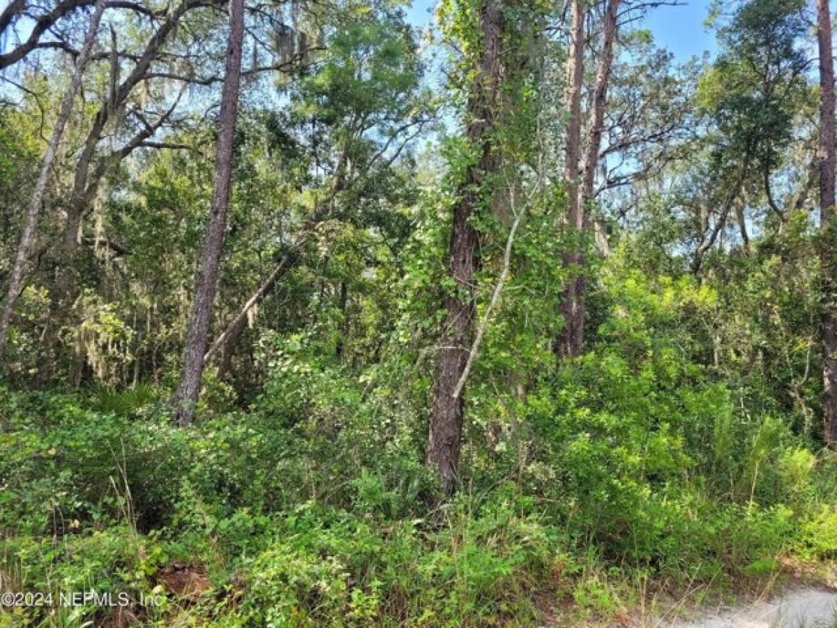 Picture of Residential Land For Sale in Crescent City, Florida, United States