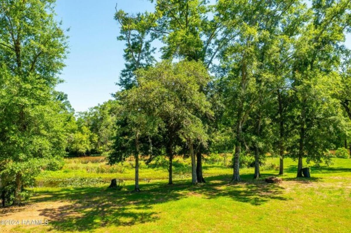 Picture of Residential Land For Sale in Saint Martinville, Louisiana, United States