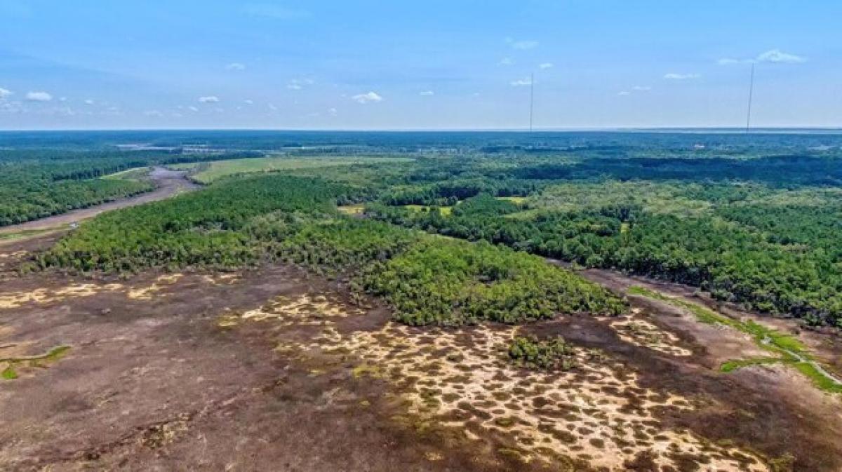 Picture of Residential Land For Sale in Mount Pleasant, South Carolina, United States