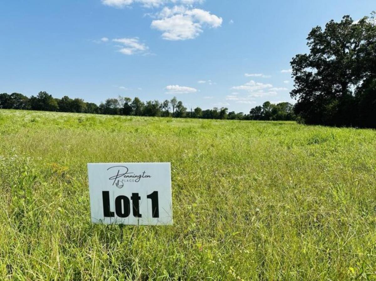 Picture of Residential Land For Sale in Summertown, Tennessee, United States