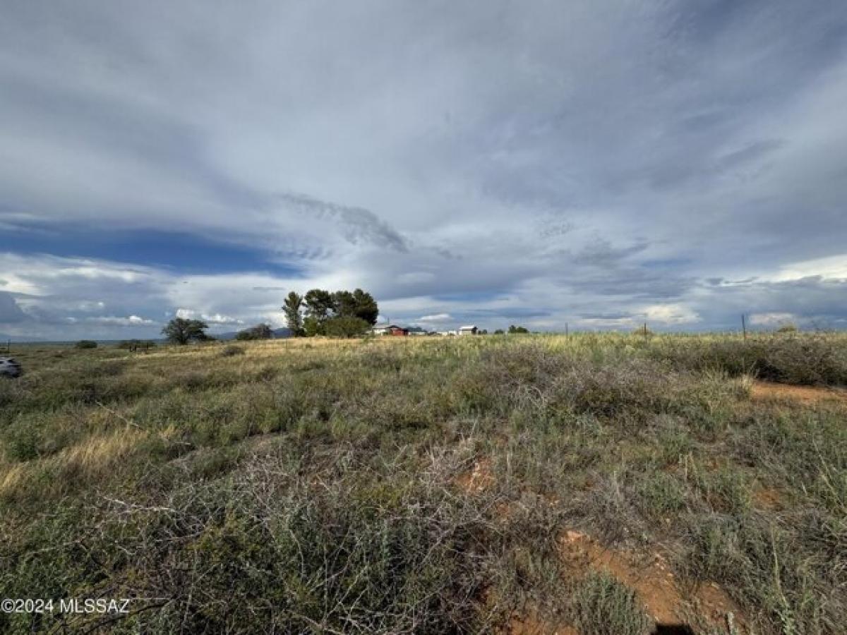 Picture of Residential Land For Sale in Sonoita, Arizona, United States