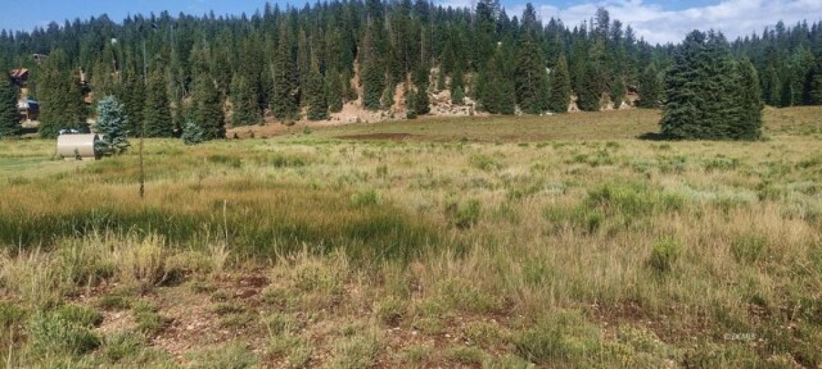 Picture of Residential Land For Sale in Duck Creek Village, Utah, United States