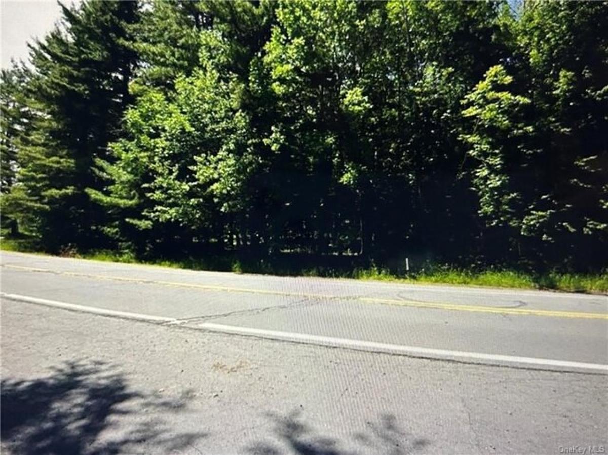 Picture of Residential Land For Sale in Liberty, New York, United States