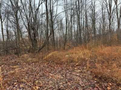 Residential Land For Sale in Waverly, Tennessee