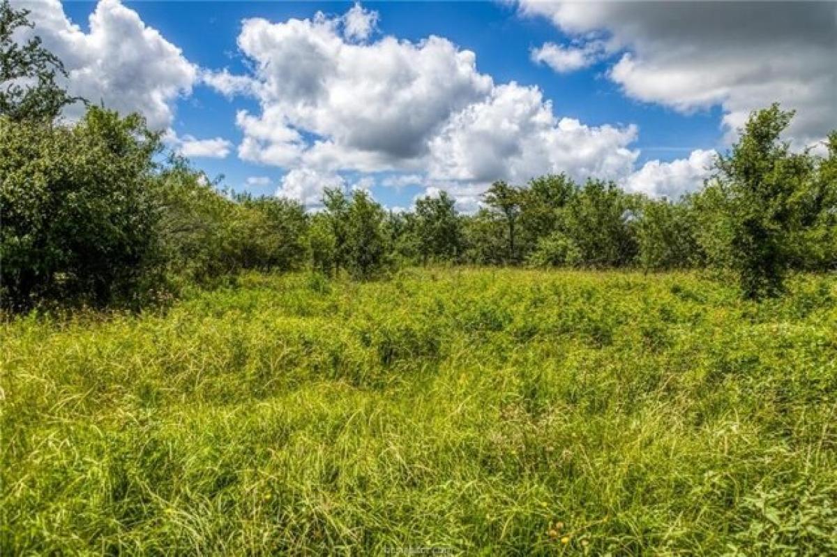 Picture of Residential Land For Sale in Caldwell, Texas, United States