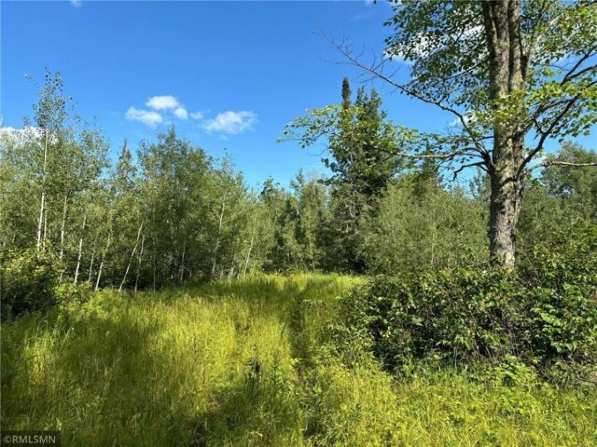 Picture of Residential Land For Sale in Wright, Minnesota, United States