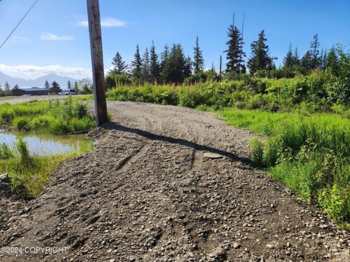 Picture of Residential Land For Sale in Homer, Alaska, United States