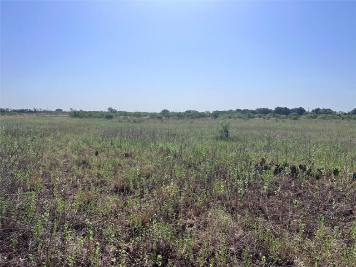 Picture of Residential Land For Sale in Anson, Texas, United States