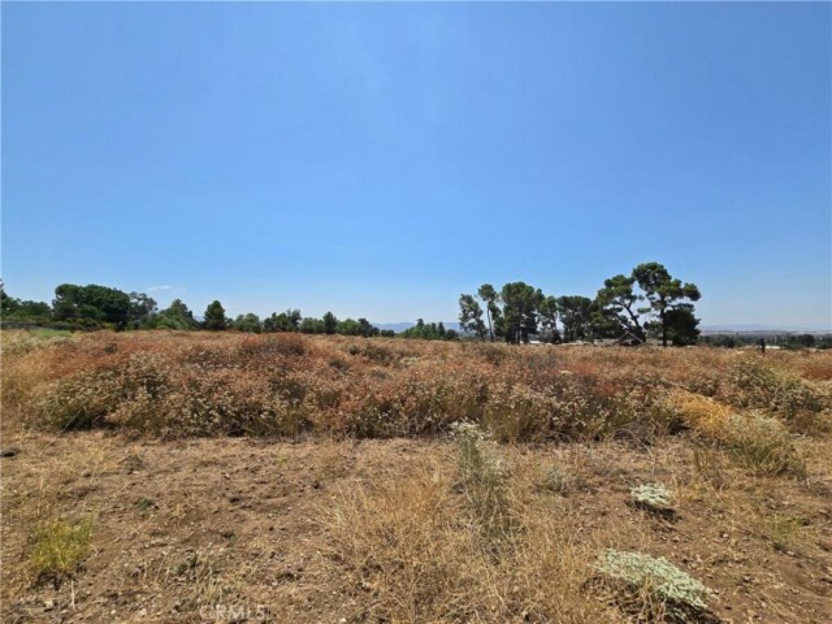 Picture of Residential Land For Sale in Cherry Valley, California, United States