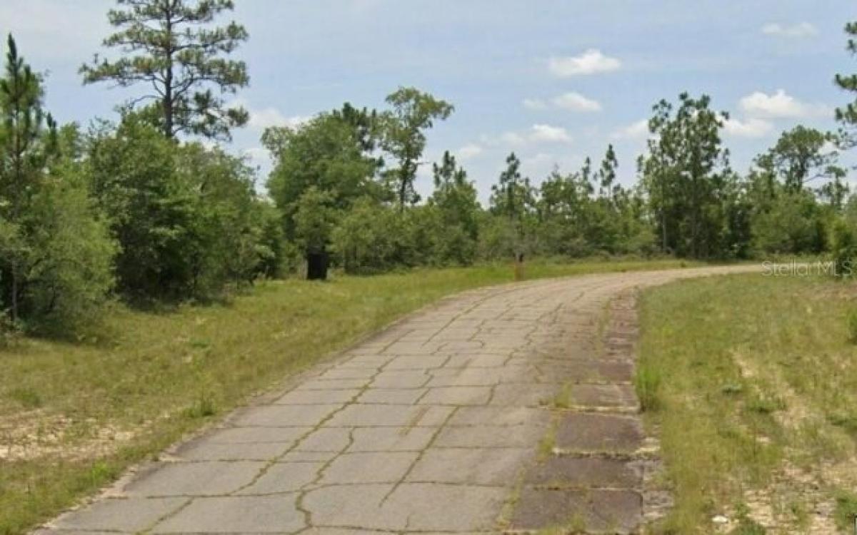 Picture of Residential Land For Sale in Chipley, Florida, United States