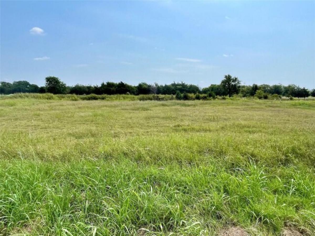 Picture of Residential Land For Sale in Sulphur Springs, Texas, United States