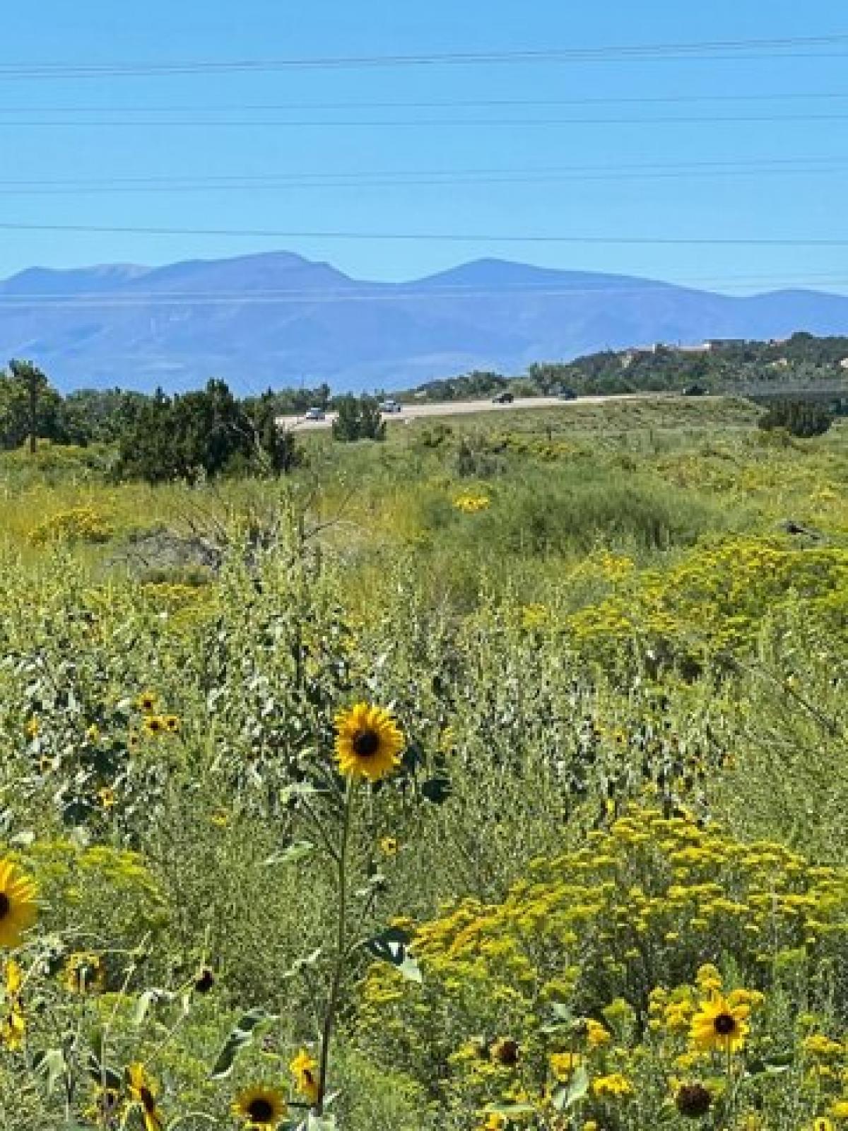 Picture of Residential Land For Sale in Walsenburg, Colorado, United States