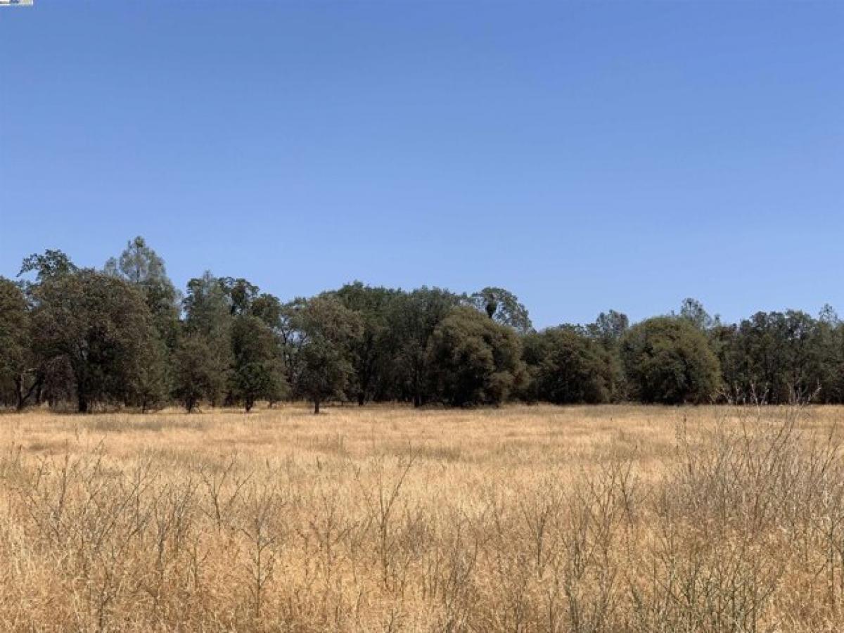 Picture of Residential Land For Sale in Browns Valley, California, United States