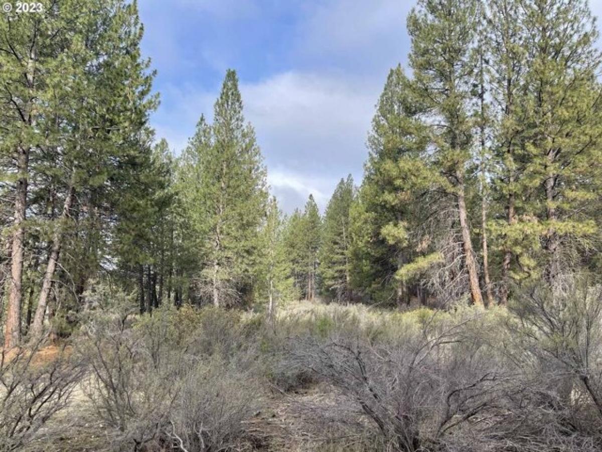 Picture of Residential Land For Sale in Chiloquin, Oregon, United States